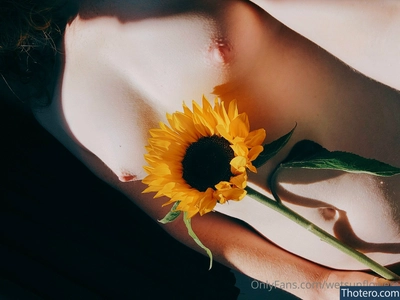 wetsunflowers nude 5307238